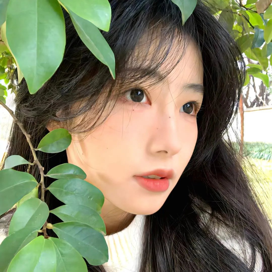 鱼干女又怎样：罗马假期 高清封面